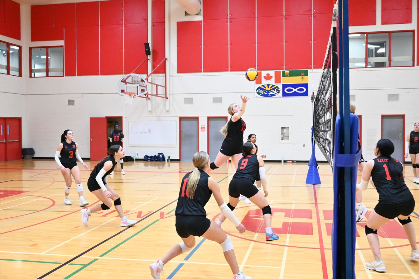 Notre Dame Volleyball Action Shot